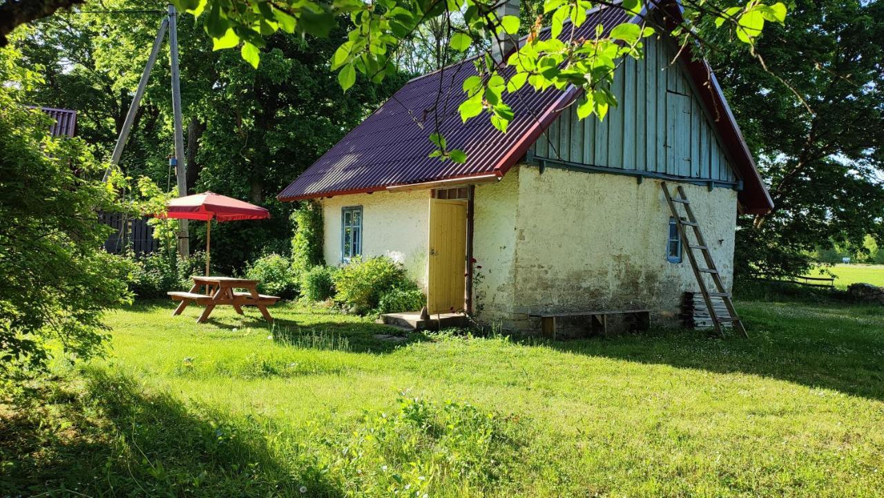 Pensjonat Viini Puhkemaja Mustjala Zewnętrze zdjęcie